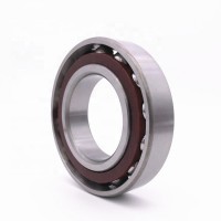 Super Quality Double Row Angular Contact Ball Bearings 7213 2rs